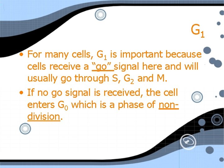 G 1 • For many cells, G 1 is important because cells receive a