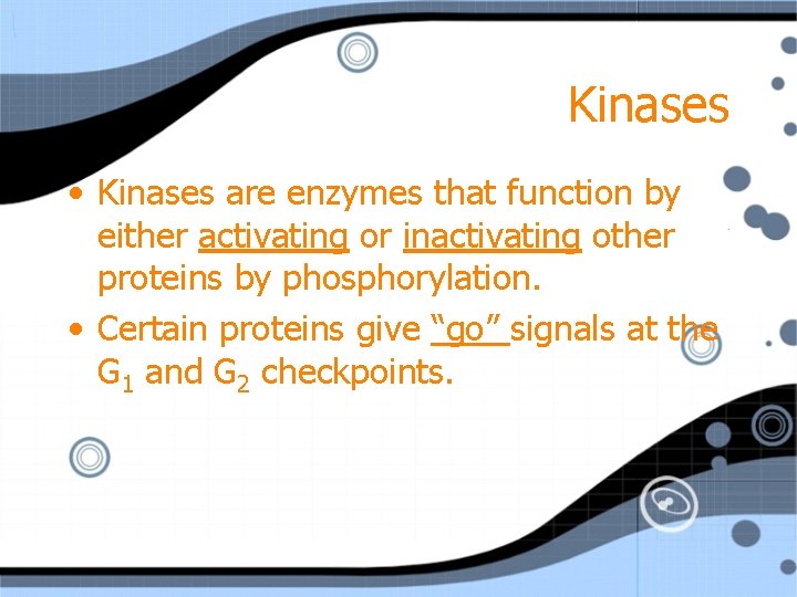 Kinases • Kinases are enzymes that function by either activating or inactivating other proteins