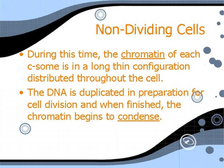 Non-Dividing Cells • During this time, the chromatin of each c-some is in a