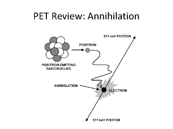 PET Review: Annihilation 