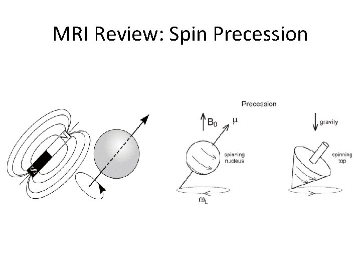 MRI Review: Spin Precession 