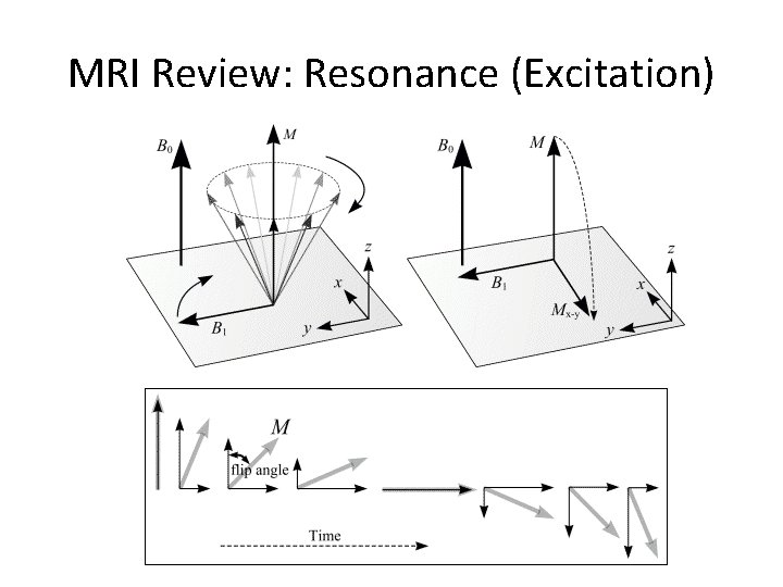 MRI Review: Resonance (Excitation) 