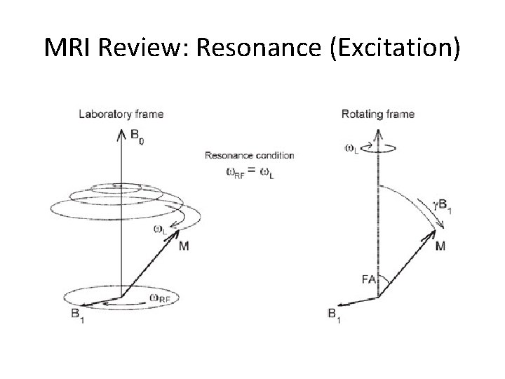 MRI Review: Resonance (Excitation) 