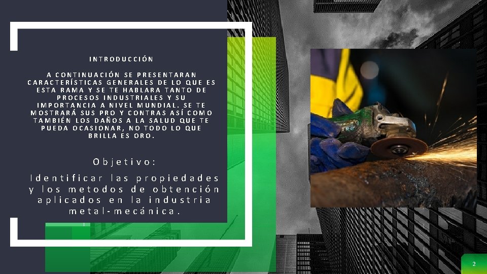 INTRODUCCIÓN A CONTINUACIÓN SE PRESENTARAN CARACTERÍSTICAS GENERALES DE LO QUE ES ESTA RAMA Y