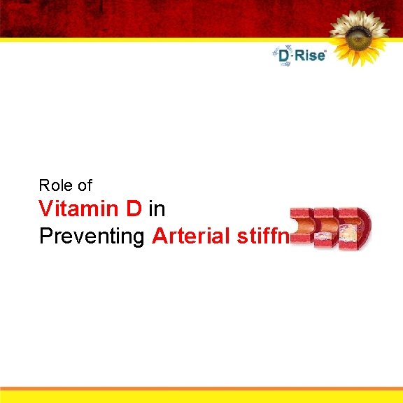 Role of Vitamin D in Preventing Arterial stiffness 