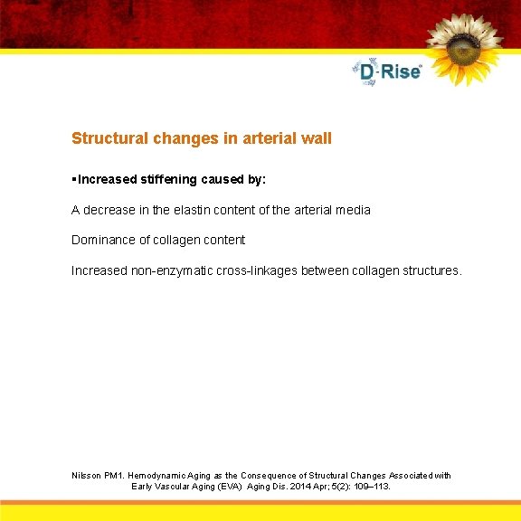 Structural changes in arterial wall §Increased stiffening caused by: A decrease in the elastin