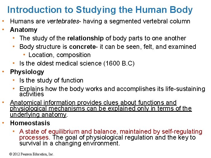 Introduction to Studying the Human Body • Humans are vertebrates- having a segmented vertebral