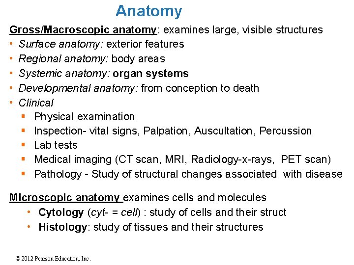 Anatomy Gross/Macroscopic anatomy: examines large, visible structures • Surface anatomy: exterior features • Regional