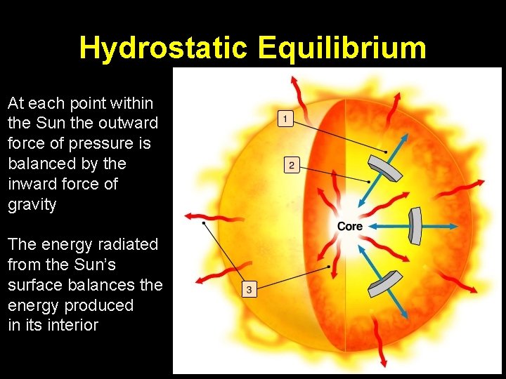 Hydrostatic Equilibrium At each point within the Sun the outward force of pressure is