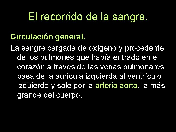 El recorrido de la sangre. Circulación general. La sangre cargada de oxígeno y procedente