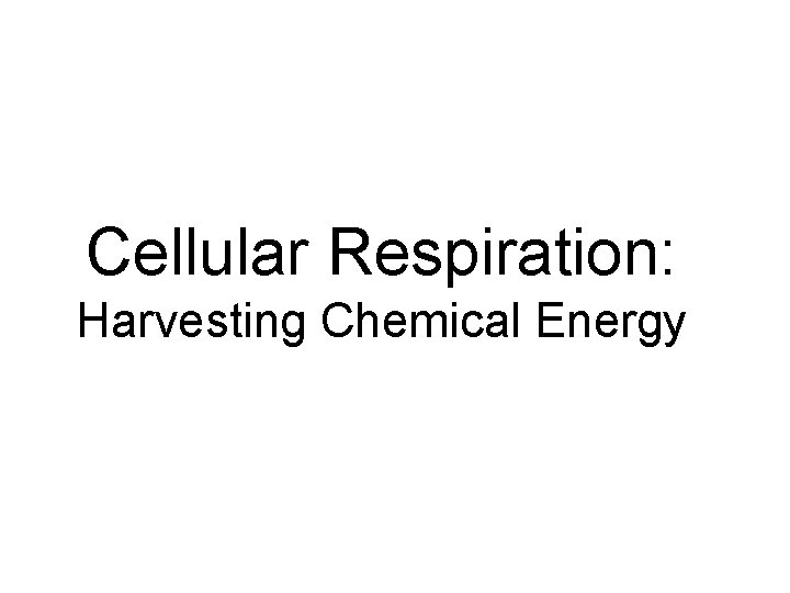 Cellular Respiration: Harvesting Chemical Energy 