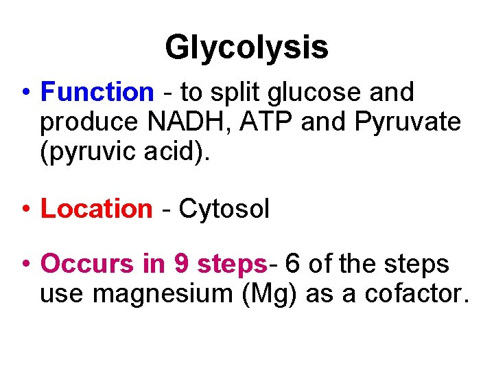 Glycolysis • Function - to split glucose and produce NADH, ATP and Pyruvate (pyruvic