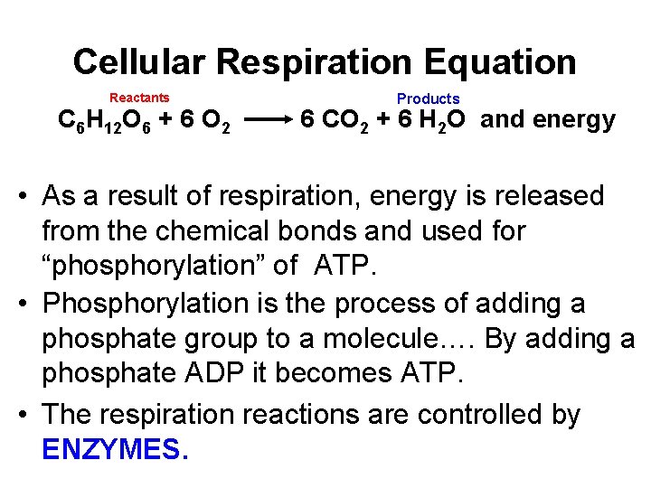 Cellular Respiration Equation Reactants C 6 H 12 O 6 + 6 O 2