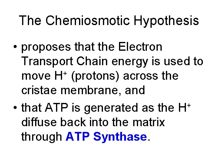 The Chemiosmotic Hypothesis • proposes that the Electron Transport Chain energy is used to