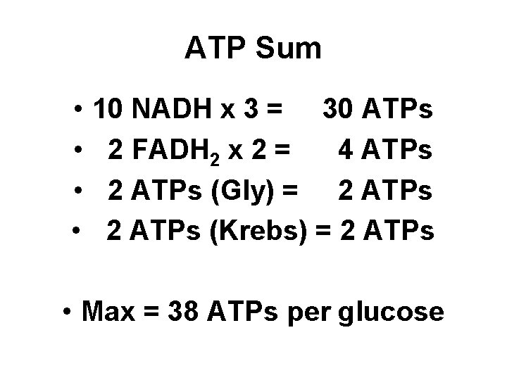 ATP Sum • • 10 NADH x 3 = 30 ATPs 2 FADH 2