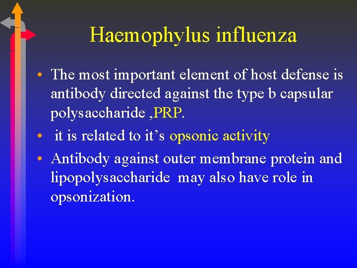 Haemophylus influenza • The most important element of host defense is antibody directed against