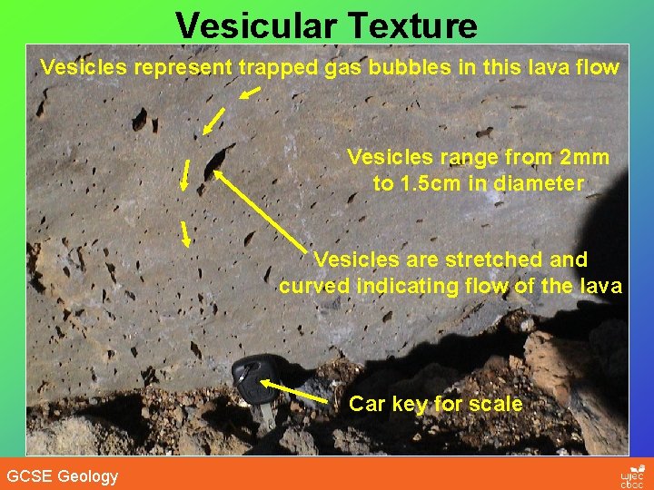 Vesicular Texture Vesicles represent trapped gas bubbles in this lava flow Vesicles range from