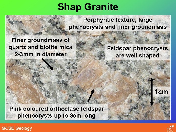 Shap Granite Porphyritic texture, large phenocrysts and finer groundmass Finer groundmass of quartz and