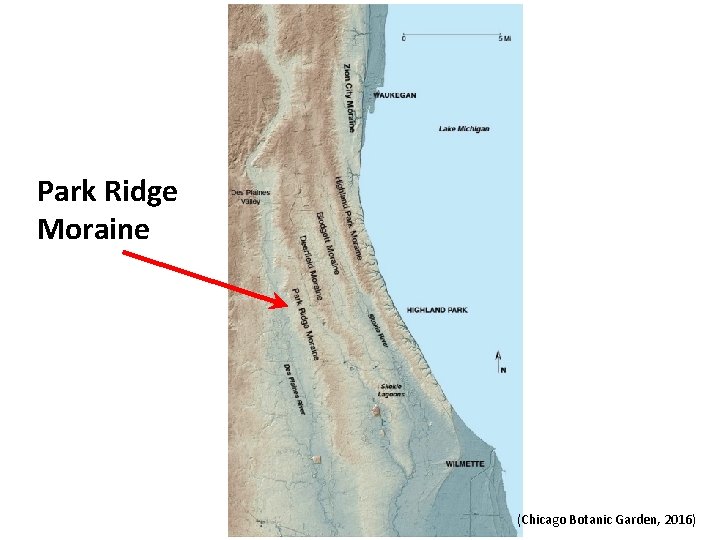 Park Ridge Moraine (Chicago Botanic Garden, 2016) 