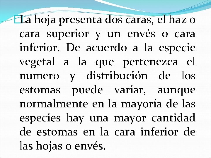 �La hoja presenta dos caras, el haz o cara superior y un envés o