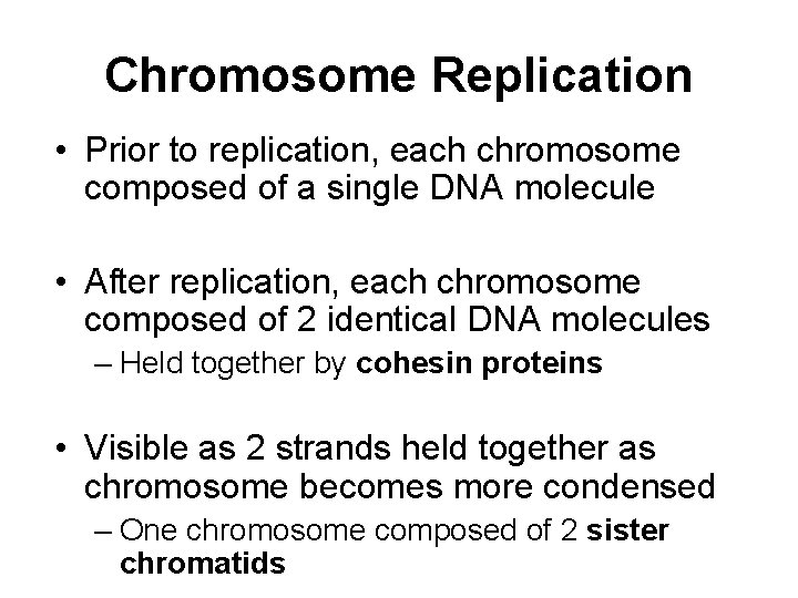 Chromosome Replication • Prior to replication, each chromosome composed of a single DNA molecule