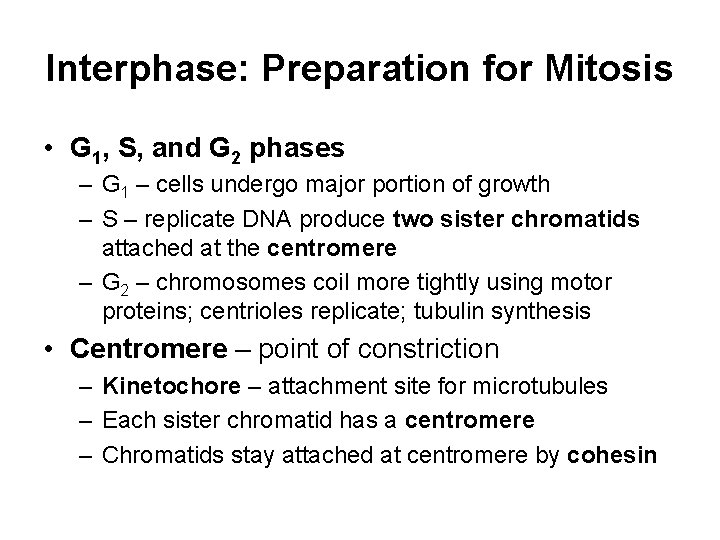 Interphase: Preparation for Mitosis • G 1, S, and G 2 phases – G
