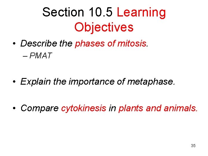 Section 10. 5 Learning Objectives • Describe the phases of mitosis. – PMAT •