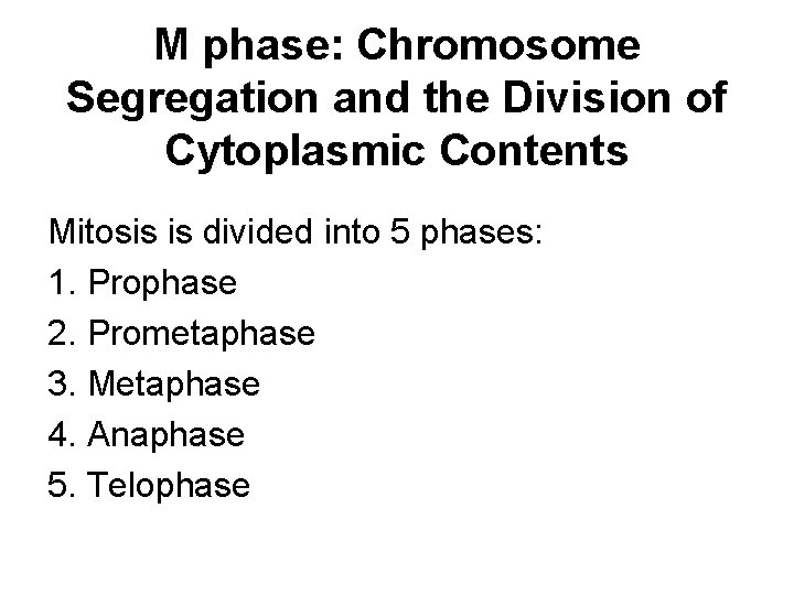 M phase: Chromosome Segregation and the Division of Cytoplasmic Contents Mitosis is divided into