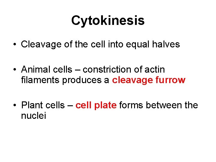 Cytokinesis • Cleavage of the cell into equal halves • Animal cells – constriction