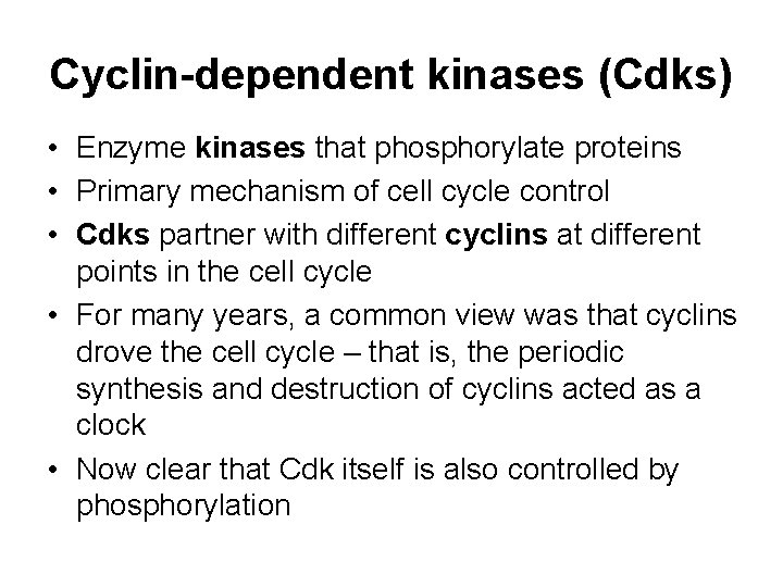 Cyclin-dependent kinases (Cdks) • Enzyme kinases that phosphorylate proteins • Primary mechanism of cell
