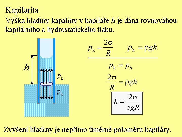 Kapilarita Výška hladiny kapaliny v kapiláře h je dána rovnováhou kapilárního a hydrostatického tlaku.