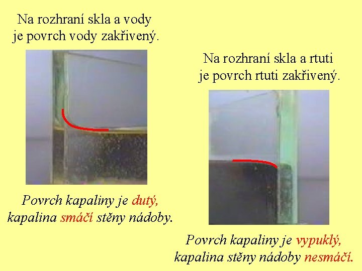 Na rozhraní skla a vody je povrch vody zakřivený. Na rozhraní skla a rtuti