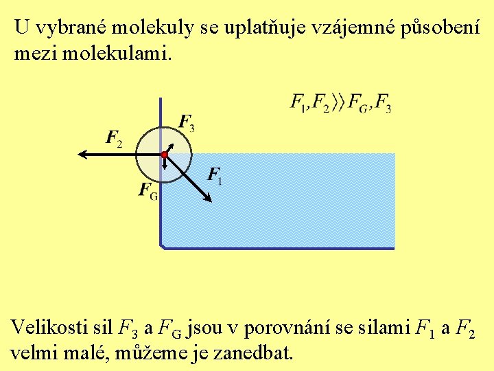 U vybrané molekuly se uplatňuje vzájemné působení mezi molekulami. Velikosti sil F 3 a