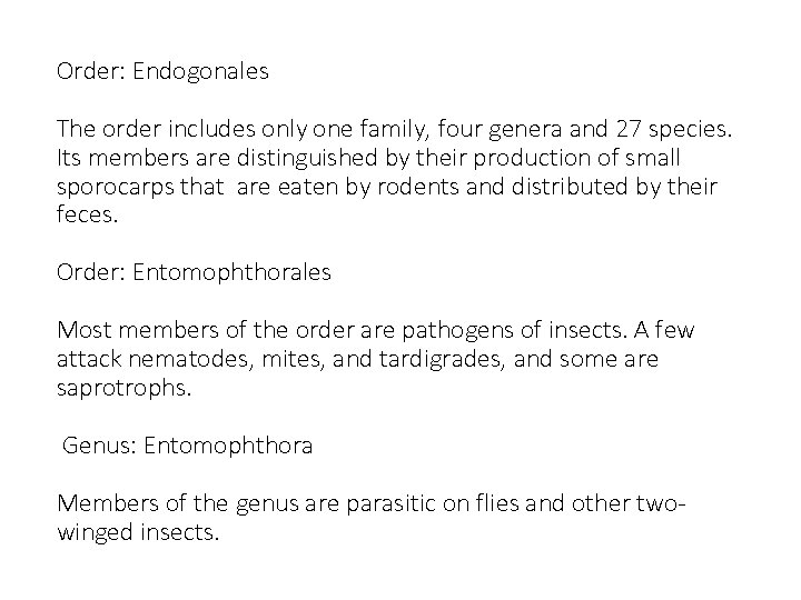 Order: Endogonales The order includes only one family, four genera and 27 species. Its