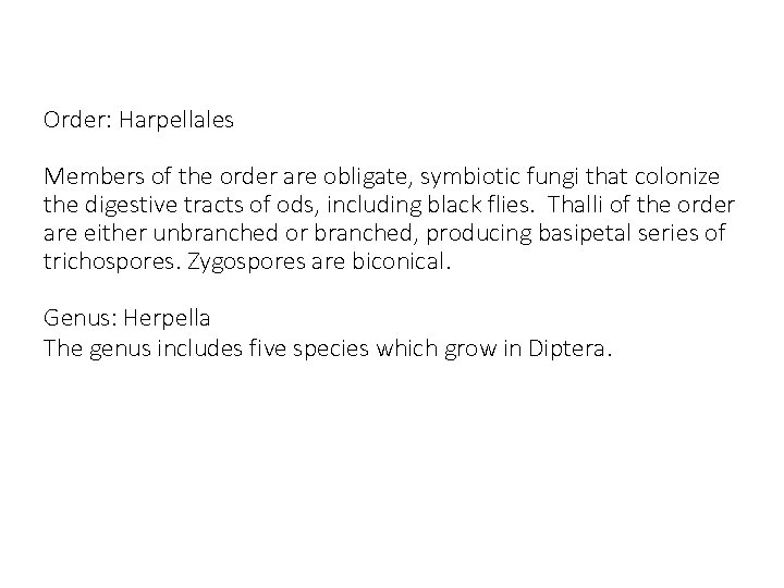 Order: Harpellales Members of the order are obligate, symbiotic fungi that colonize the digestive