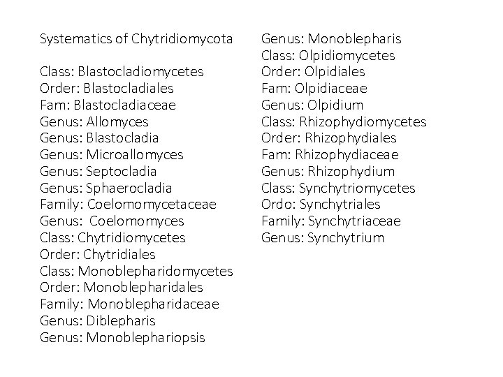 Systematics of Chytridiomycota Class: Blastocladiomycetes Order: Blastocladiales Fam: Blastocladiaceae Genus: Allomyces Genus: Blastocladia Genus: