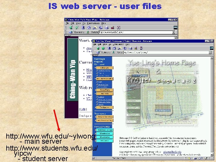 IS web server - user files http: //www. wfu. edu/~ylwong - main server http: