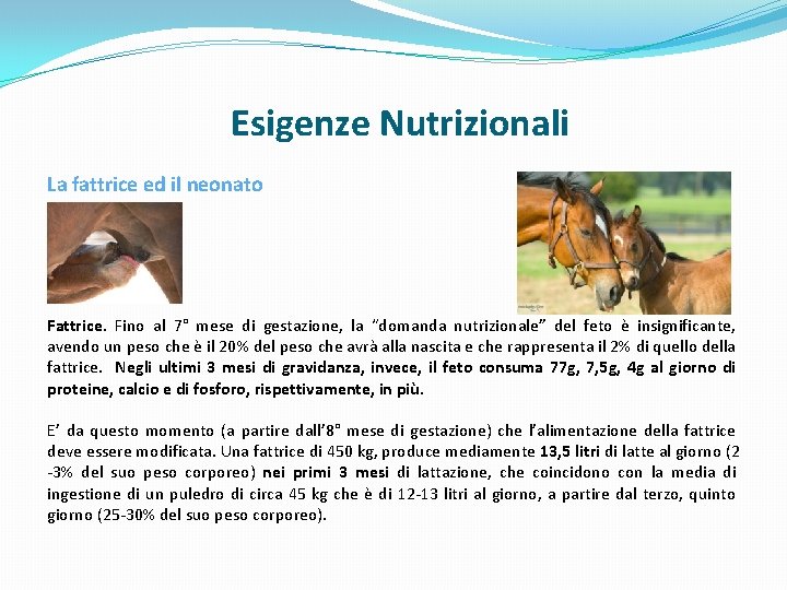 Esigenze Nutrizionali La fattrice ed il neonato Fattrice. Fino al 7° mese di gestazione,