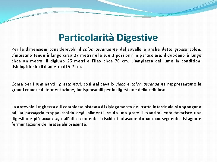 Particolarità Digestive Per le dimensioni considerevoli, il colon ascendente del cavallo è anche detto