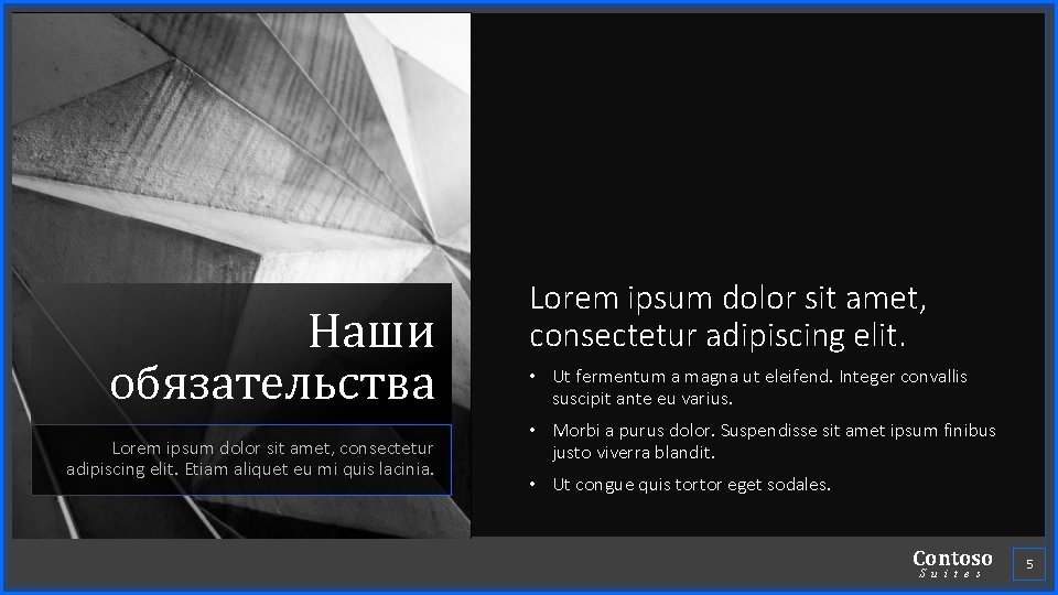 Наши обязательства Lorem ipsum dolor sit amet, consectetur adipiscing elit. Etiam aliquet eu mi