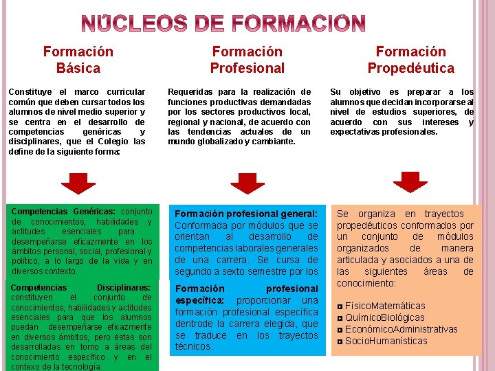 Formación Básica Constituye el marco curricular común que deben cursar todos los alumnos de