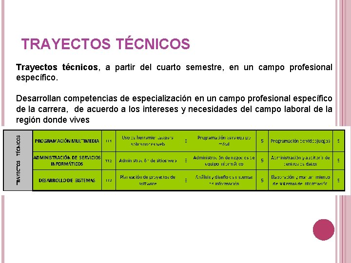 TRAYECTOS TÉCNICOS Trayectos técnicos, a partir del cuarto semestre, en un campo profesional específico.