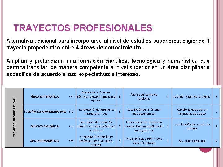 TRAYECTOS PROFESIONALES Alternativa adicional para incorporarse al nivel de estudios superiores, eligiendo 1 trayecto