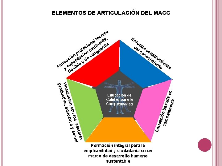 ELEMENTOS DE ARTICULACIÓN DEL MACC En fo q de ue l c co on