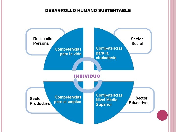 DESARROLLO HUMANO SUSTENTABLE Desarrollo Personal Sector Social Competencias para la vida Competencias para la