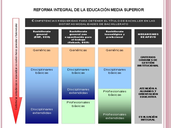 REFORMA INTEGRAL DE LA EDUCACIÓN MEDIA SUPERIOR 