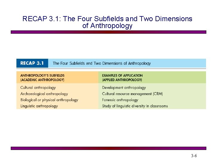 RECAP 3. 1: The Four Subfields and Two Dimensions of Anthropology 3 -6 