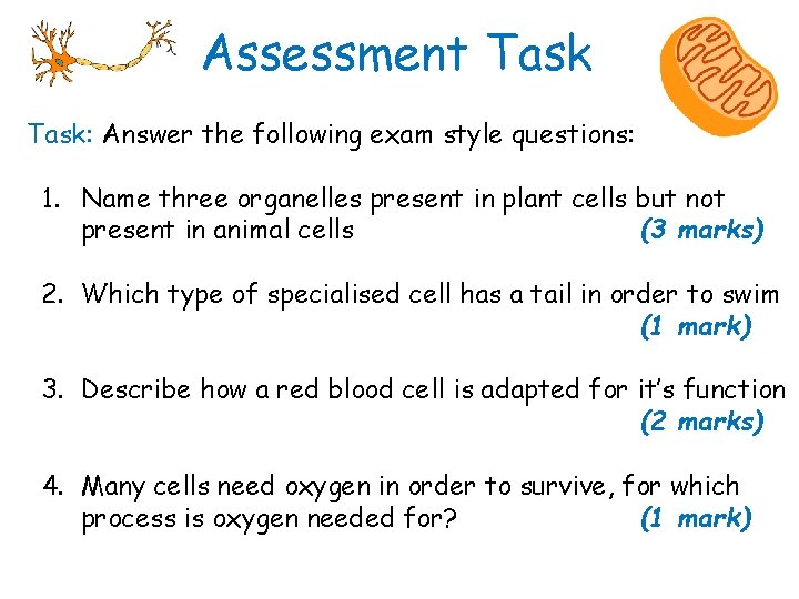 Assessment Task: Answer the following exam style questions: 1. Name three organelles present in