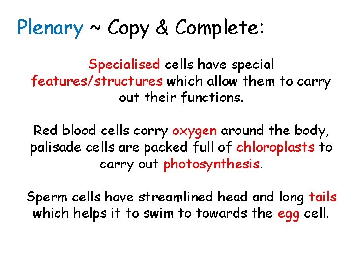 Plenary ~ Copy & Complete: Specialised special ______ cells have special _____ features/structures whichout