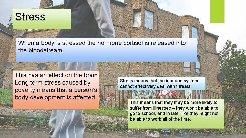 Stress When a body is stressed the hormone cortisol is released into the bloodstream